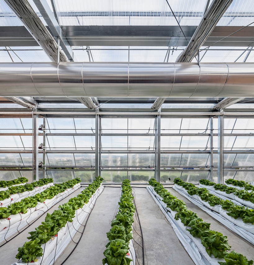 h arquitectes palaeontology research center barcelona designboom