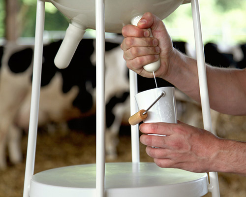 5.5 design studio's vache à lait reconnects dairy consumers and producers