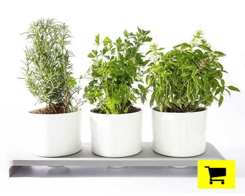 u-herb brings living herbs and waters itself via imbedded reservoir