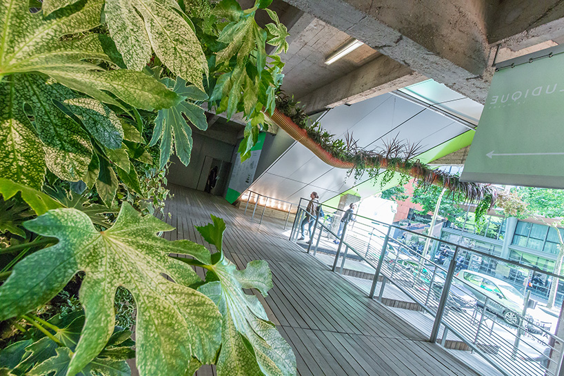 alexis tricoire two-headed dragon la cité de la mode et du design