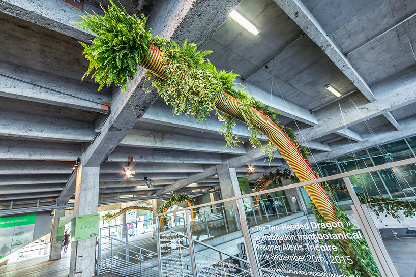 alexis tricoire two-headed dragon la cité de la mode et du design