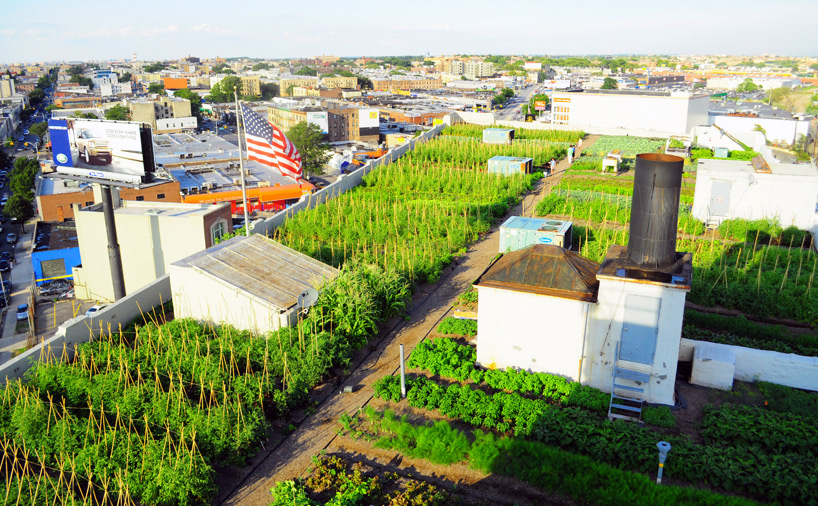 rooftop urban farm bromley caldari new york designboom
