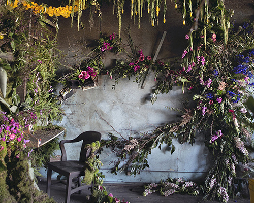 lisa waud infills abandoned detroit house with thousands of flowers
