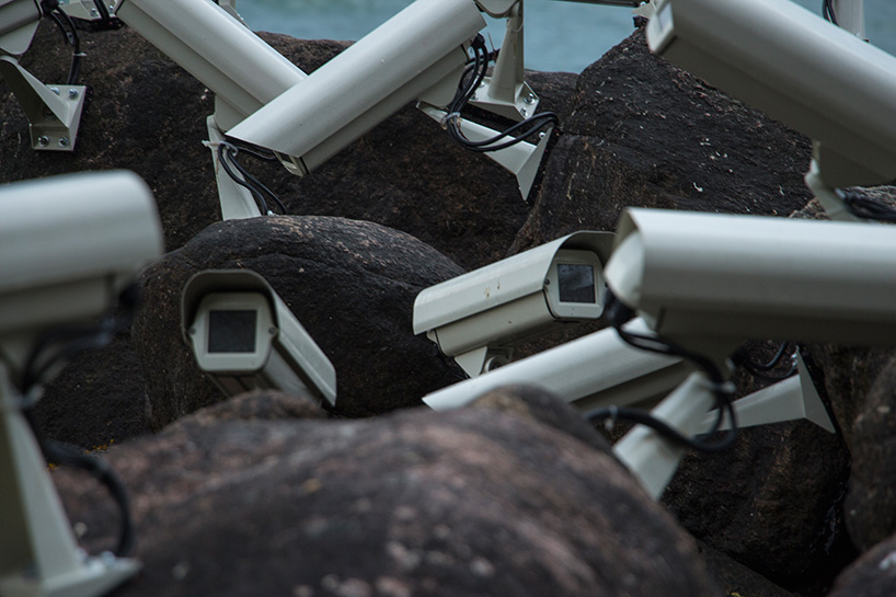 jakub geltner nests security cameras in nature sculpture by the sea