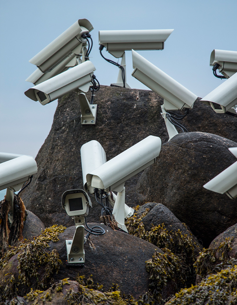 jakub geltner nests security cameras in nature sculpture by the sea