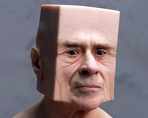 lee griggs forms facial deformations with geometrically-shaped skin