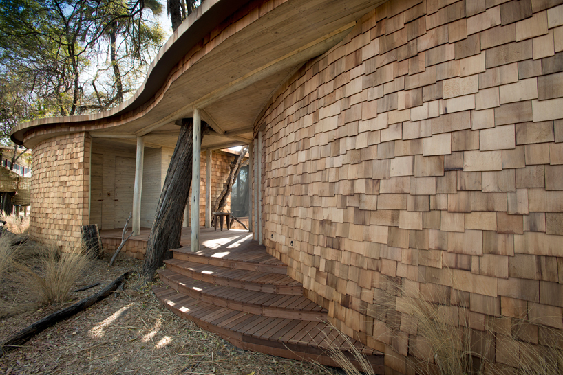 nicholas-plewman-architects-sandibe-okavango-safari-lodge-designboom-02