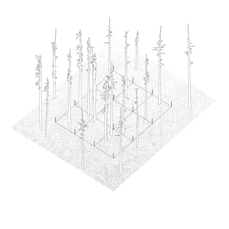 output_xjM9bT