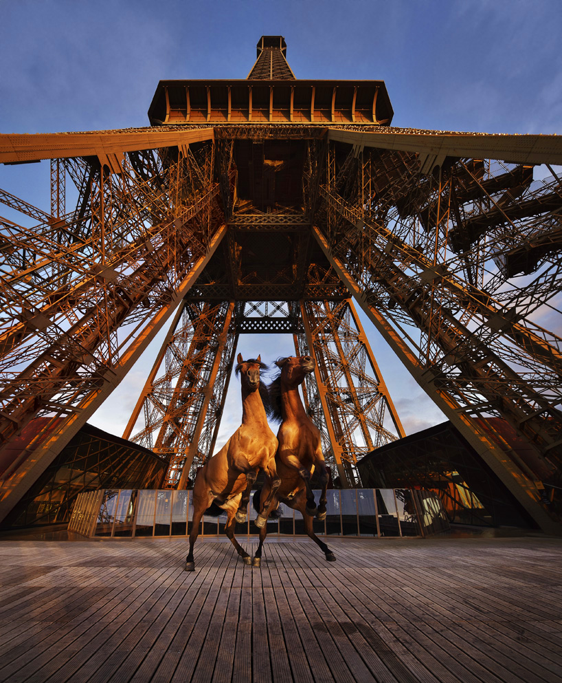 yee-haw: paola pivi brings four horses to the eiffel tower