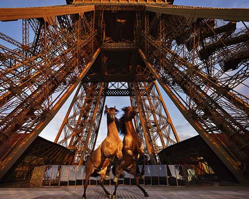 yee-haw: paola pivi brings four horses to the eiffel tower