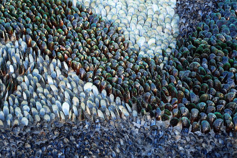 subodh kerkar oceanic odyssey sculpture by the sea