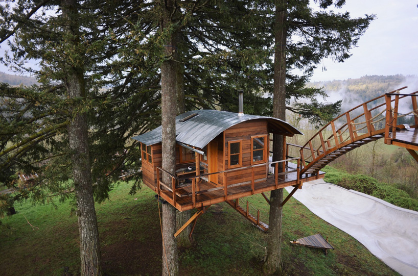 the cinder cone treehouse perches above a skatebowl