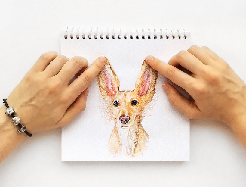 valerie susik interactive dog illustrations