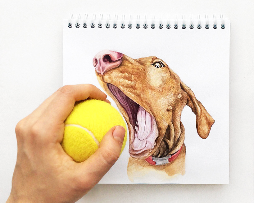 valerie susik interactive dog illustrations