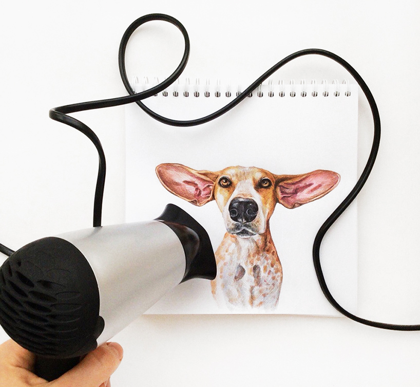 valerie susik interactive dog illustrations