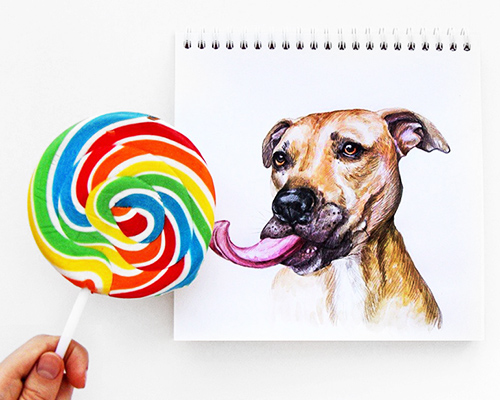 interactive illustrations connect drawn dogs with human hands