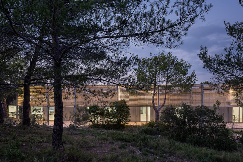 PAN architecture marseille architecture school extension france designboom