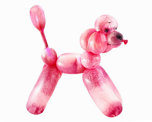sarah deremer's balloon zoo shows a realistic rendition of rubber animals