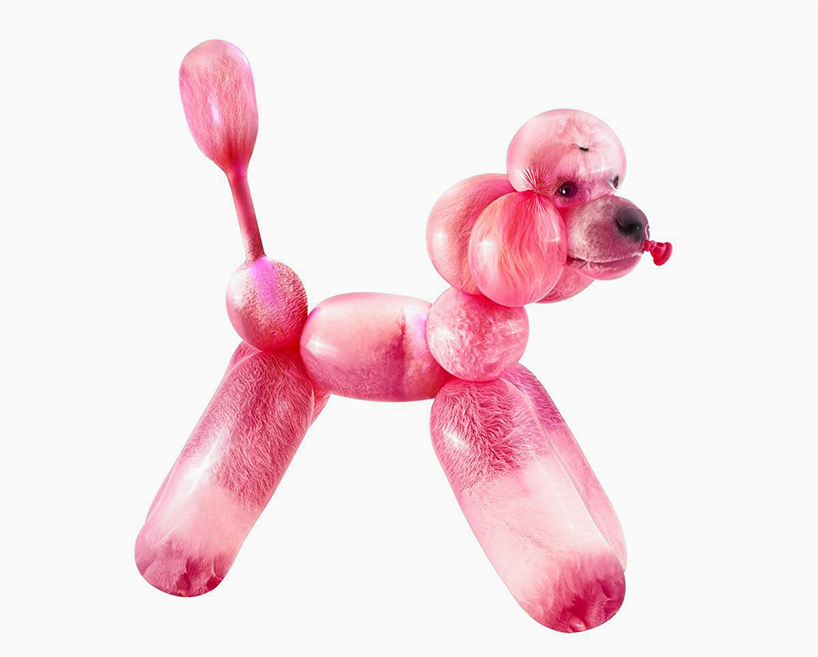 rubber animals