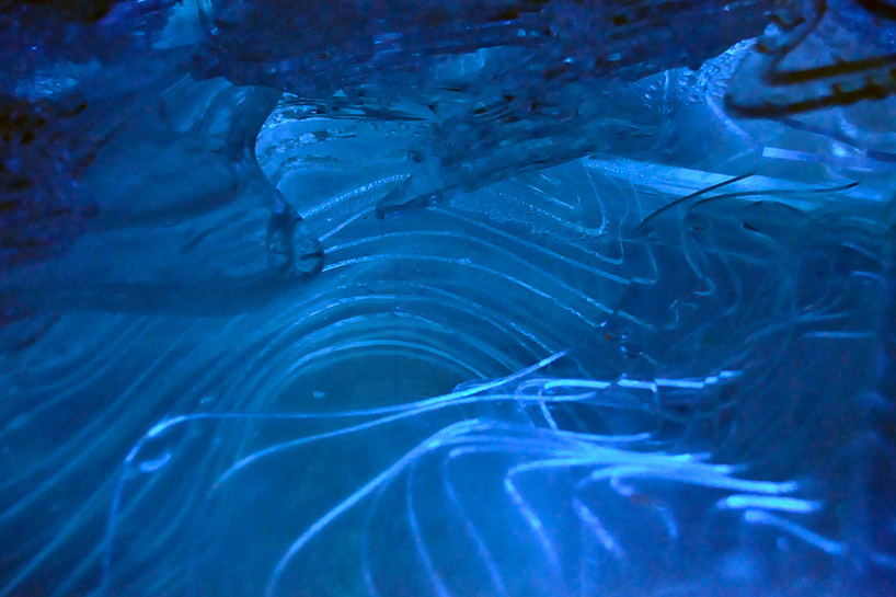 island chen the blue island bioluminescent algae installation designboom island chen the blue island bioluminescent algae installation designboom