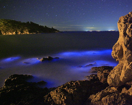 island chen develops the blue island bioluminescent algae installation