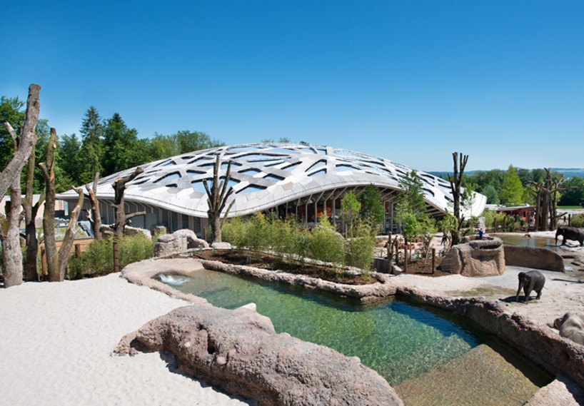 markus schietsch architekten caps elephant sanctuary with timber geodesic roof in zurich
