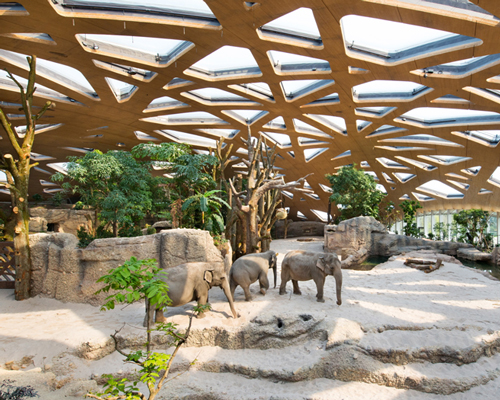 markus schietsch architekten caps elephant sanctuary with timber geodesic roof in zurich