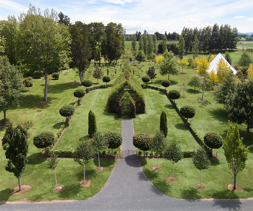 tree church new zealand barry cox