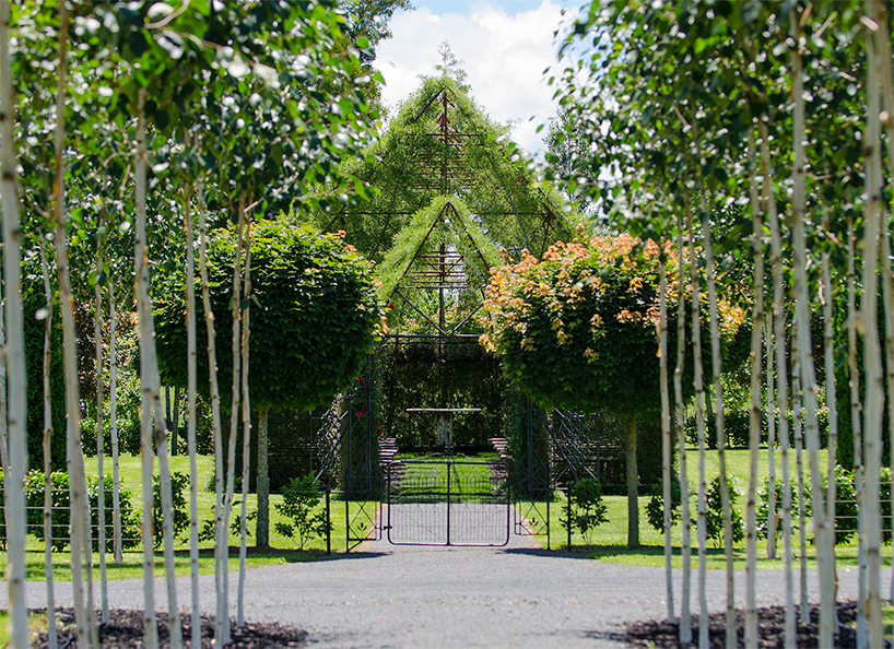 tree church new zealand barry cox