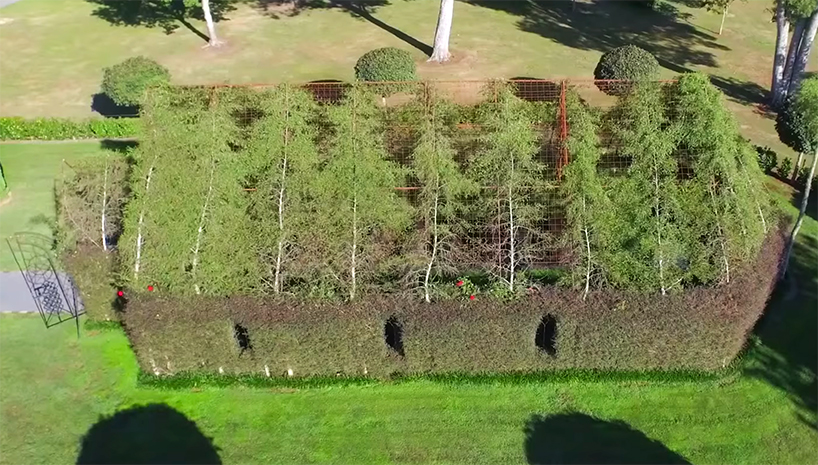 tree church new zealand barry cox