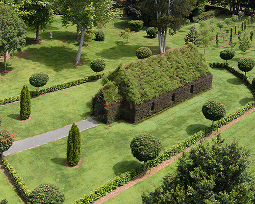 new zealand nature lover grows living tree church and lush labyrinth walk