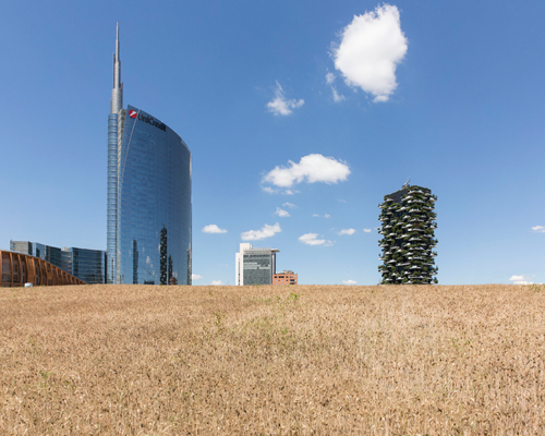 agnes denes plants a 5 hectare wheatfield amongst milan's porta nuova skyscrapers