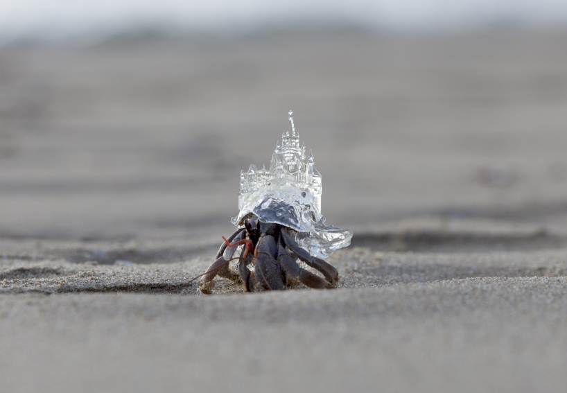 aki inomata forms hermit crab habitat as a japanese wedding chapel