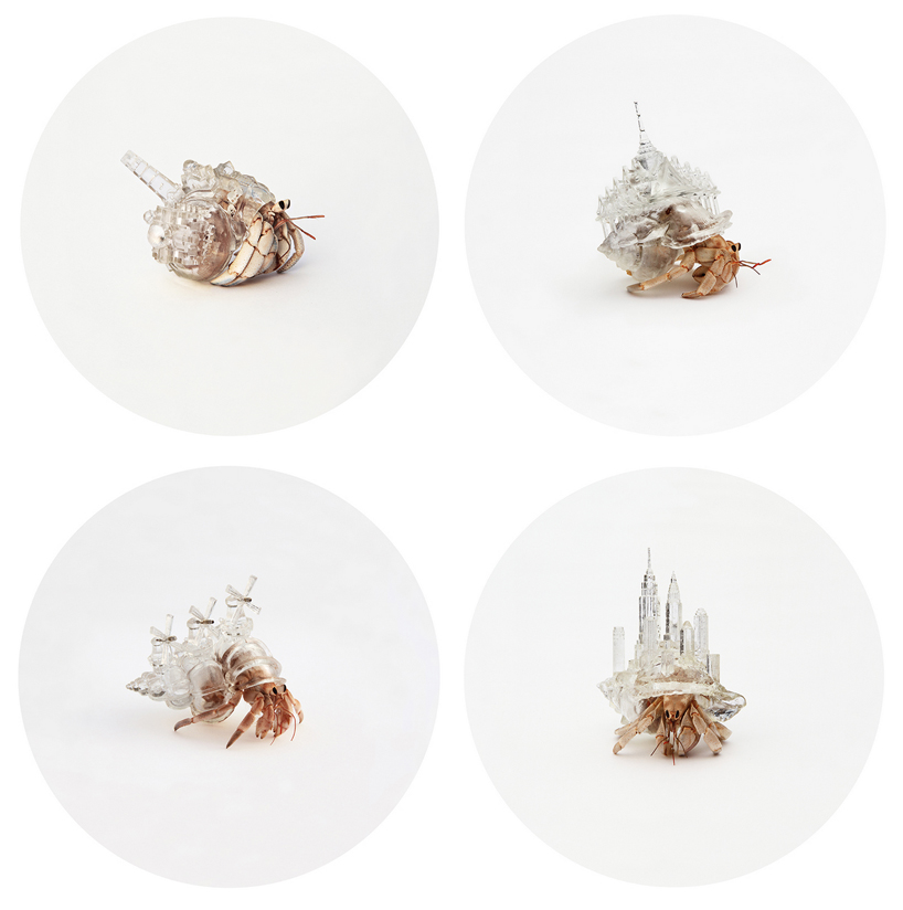 aki inomata white chapel hermit crab shelter