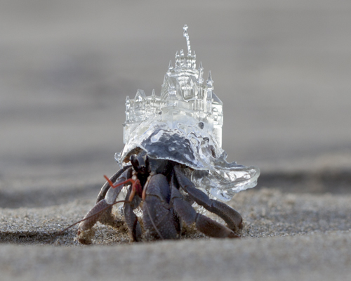 aki inomata forms hermit crab habitat as a japanese wedding chapel