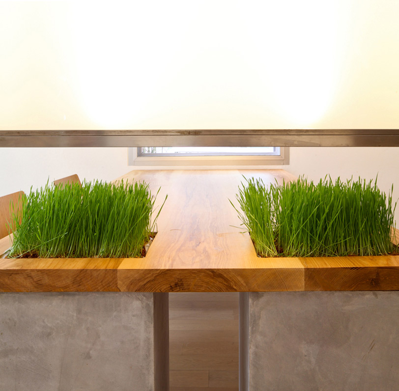 EKAR architects t-house thailand designboom