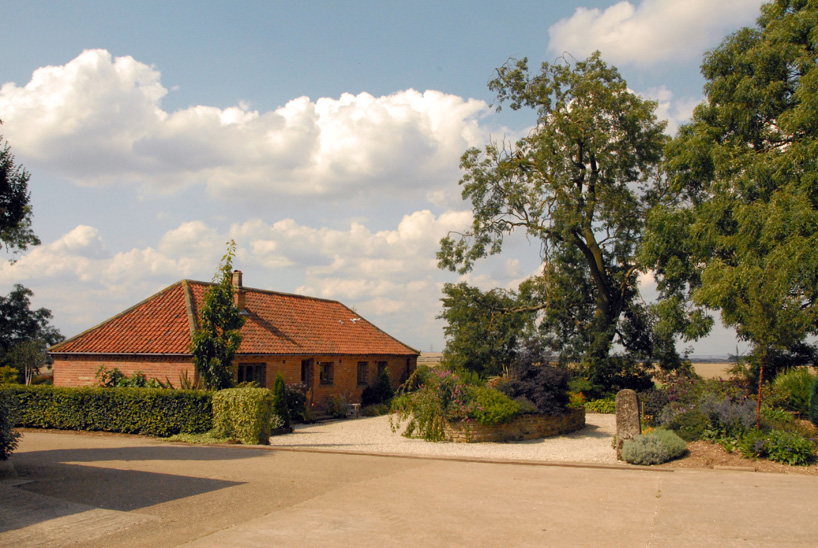 max lamb_my grandfathers tree_designboom_002