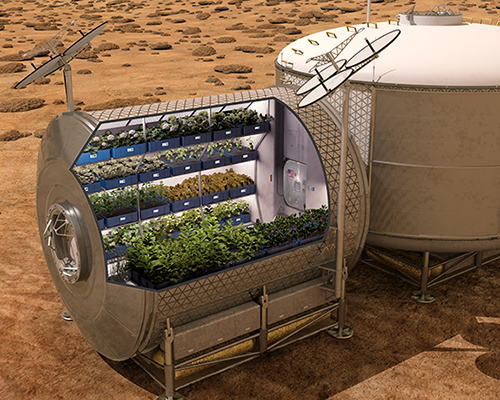 NASA grows edible vegetables in space for the first time