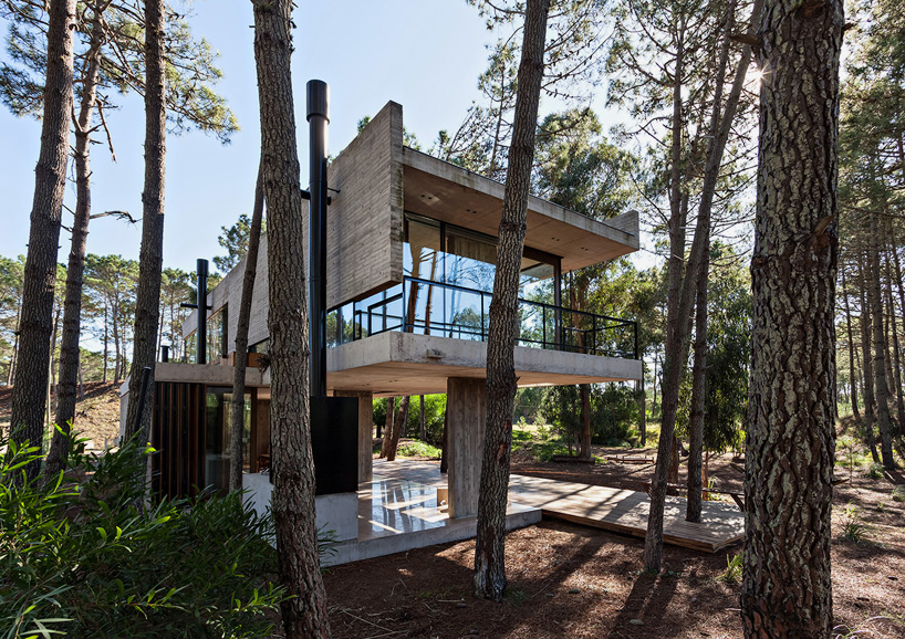 ATV arquitectos builds marino house amid argentinian pines