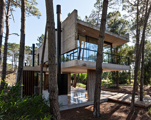ATV arquitectos builds marino house amid argentinian pines