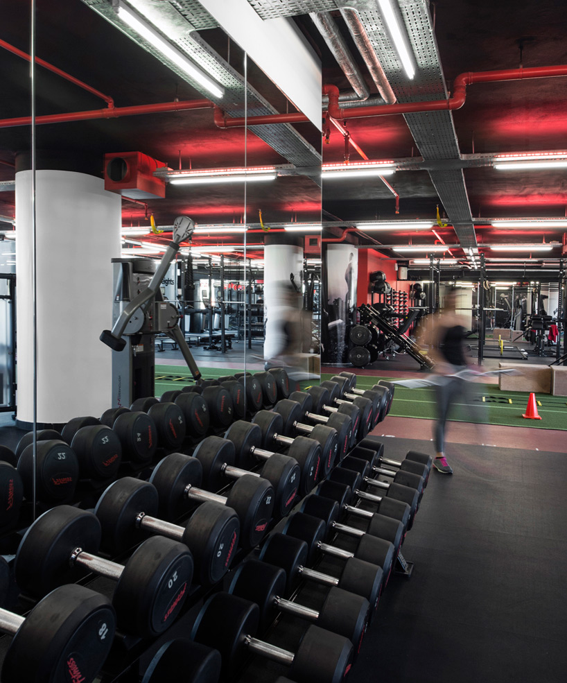 anarchitect uenergy bliss health club beirut lebanon designboom