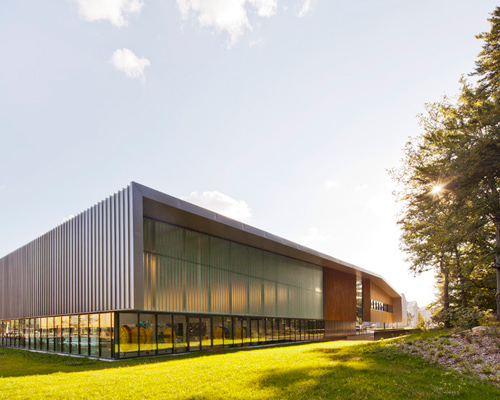 barthelemy & grino's sports halls echo the forest's lines