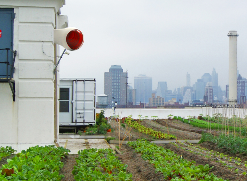 urban beehive combats colony collapse with integrated scanner system