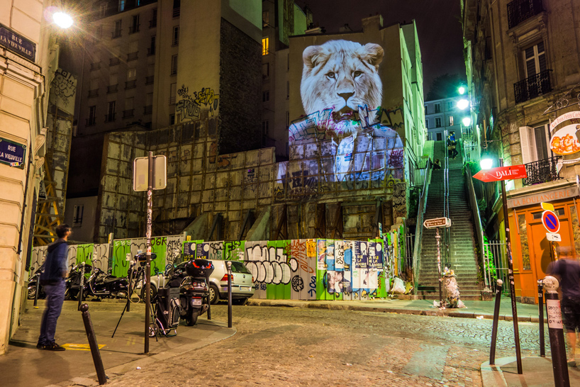 julien-nonnon-urban-safari-hipster-animals-paris-designboom-02