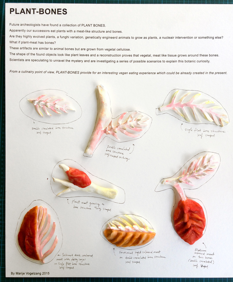 plant-bones-marije-vogelzang-designboom-02