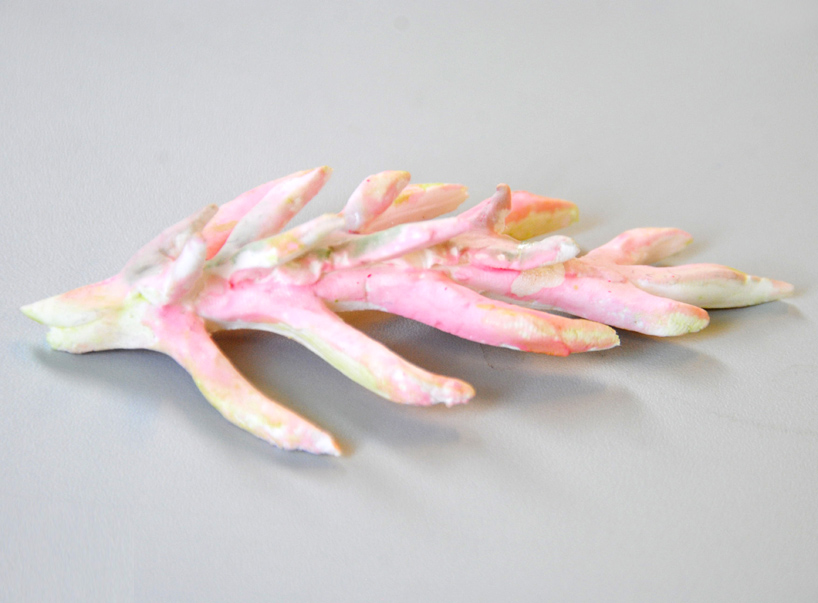 plant-bones-marije-vogelzang-designboom-03