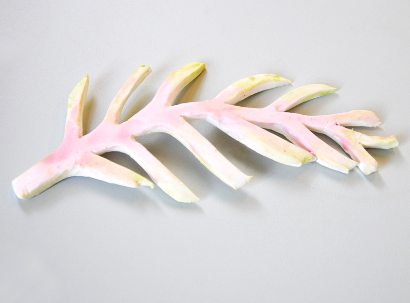 plant-bones-marije-vogelzang-designboom-04