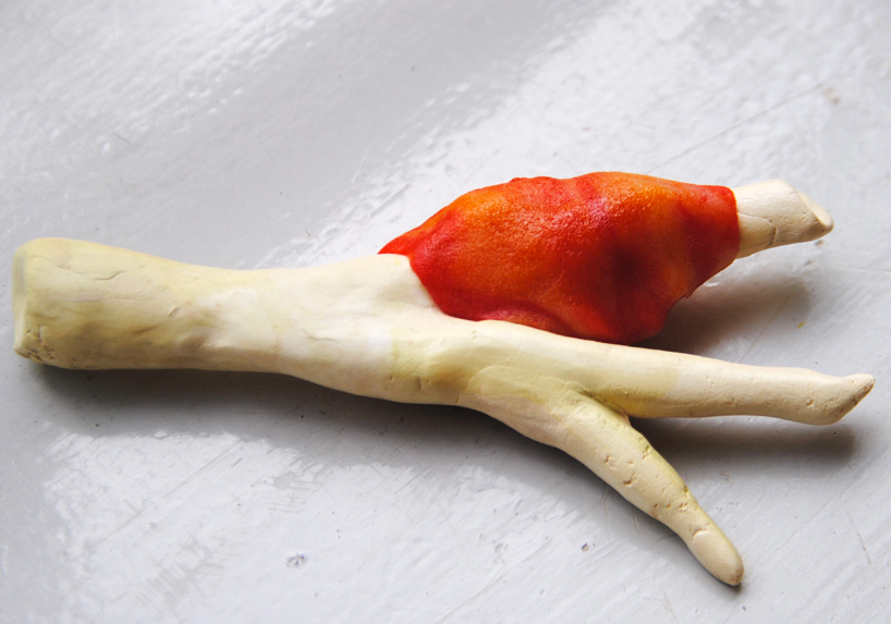 plant-bones-marije-vogelzang-designboom-05