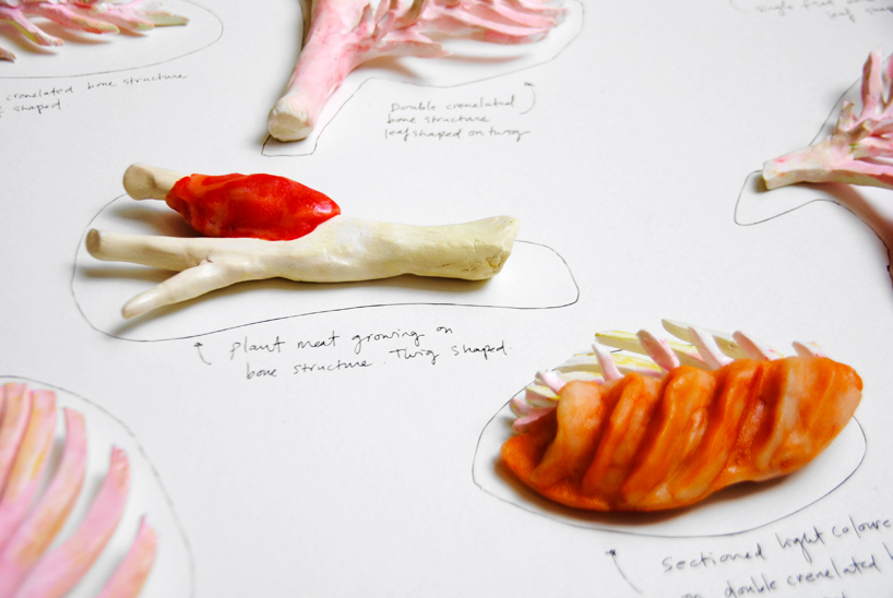 plant-bones-marije-vogelzang-designboom-07