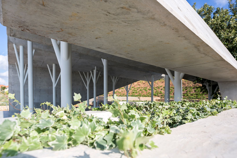ron-shenkin-studio-open-sided-shelter-pardesia-isreal-designboom-02